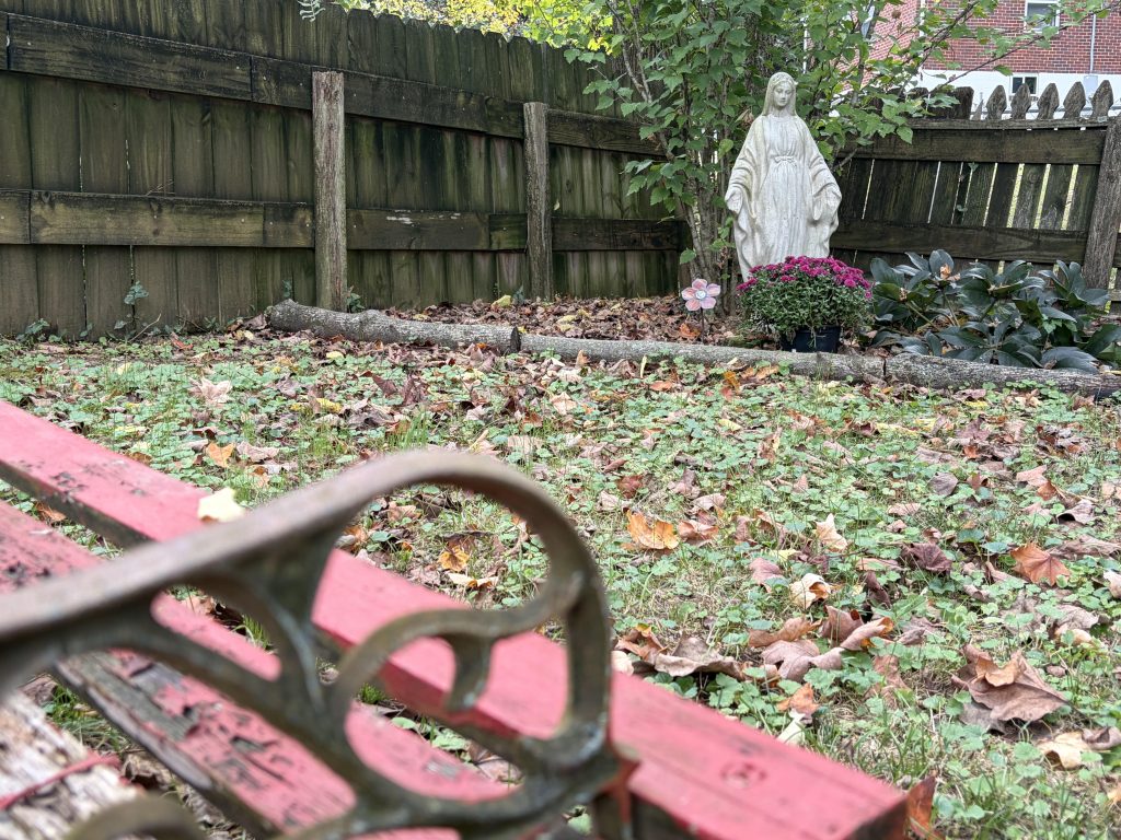 A weathered white statue of the Virgin Mary stands in a small garden bed along a dark wooden privacy fence. Potted purple chrysanthemums and broad-leafed green plants surround the statue beneath a leafy tree. Fallen autumn leaves are scattered across a patchy lawn in the foreground, while the blurred armrest and red-painted slats of an old park bench frame the lower left corner of the image. A brick building is partially visible beyond the fence in the background.
